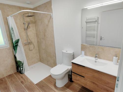a bathroom with a toilet and a shower and a sink at Le temps de la pause 1 in Cepoy