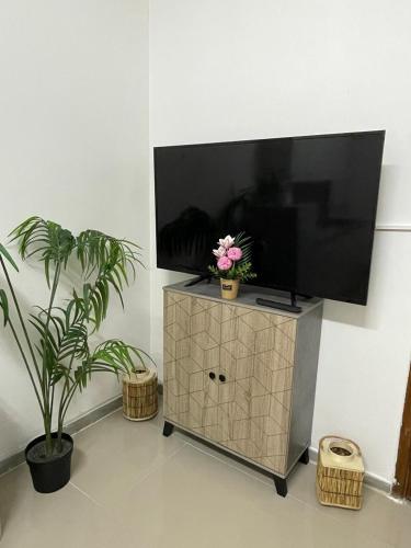a flat screen tv on a stand with two plants at Fully furnished studio in Abu Dhabi