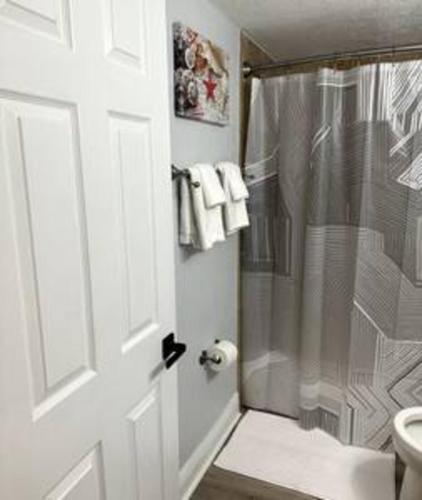 a bathroom with a shower and a toilet and a door at Ocean View Condo in Daytona Beach