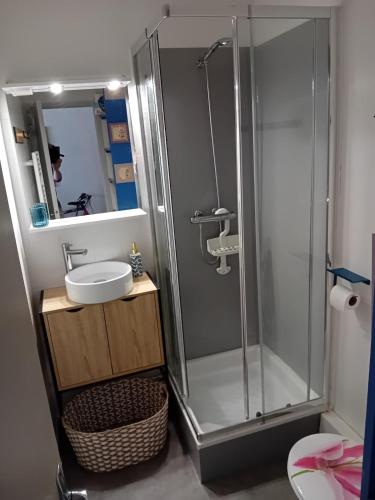 une salle de bain avec douche et lavabo dans l'établissement Appart Oléron Vert Bois 4 pers, à Dolus-d'Oléron