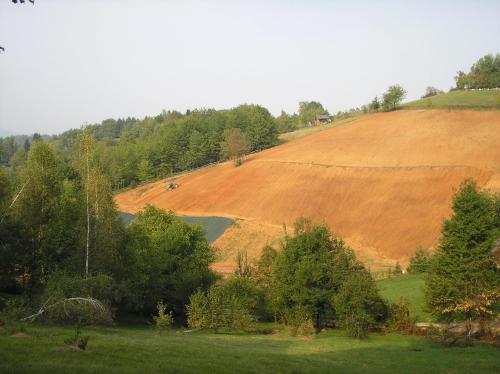a field with trees and a hill with a farm at Agriturismo Bio-Ecologico Sant'Isidoro in Roccaforte Mondovì