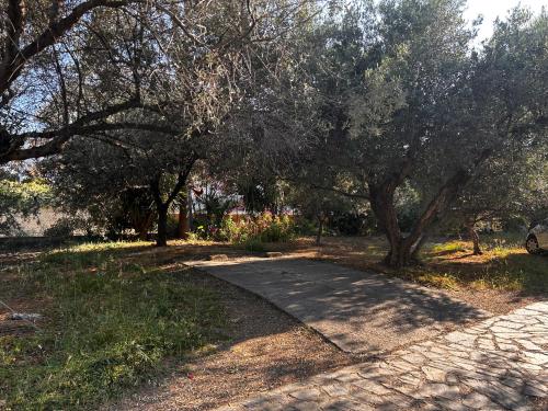 Un jardín fuera de Elias Nest