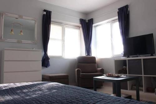 a bedroom with a bed and a tv and a chair at Vila 'Anna' in Krapets