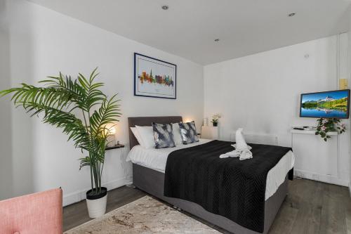 a bedroom with a bed and a potted plant at City Centre Studio Apartments - Stoop Apartment - Short Stays UK Ltd in Exeter