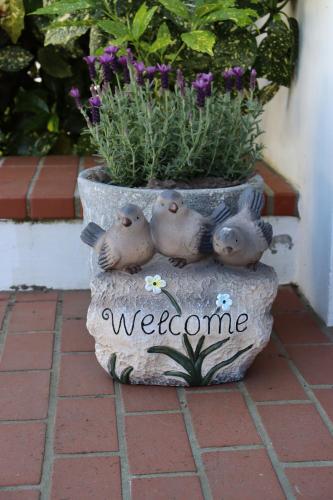Hotel Villa Sonneck-Adults Only photo 91