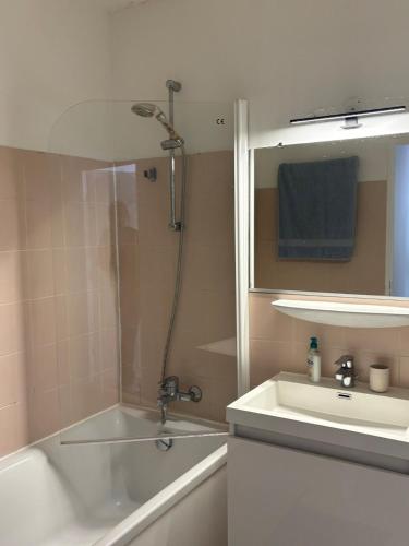une salle de bain avec une douche, un lavabo et une baignoire dans l'établissement Bel appart 3 ch centre et parking, à Tours