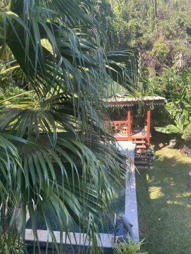 Un jardín fuera de Chez Dolores