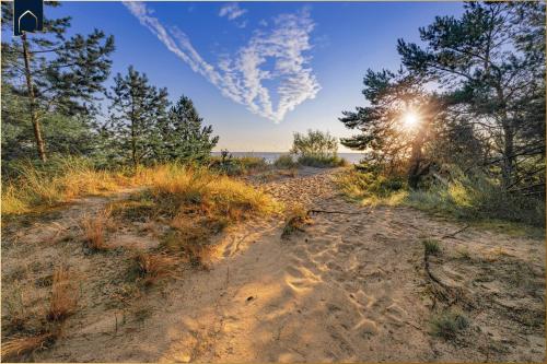 a dirt road leading to a beach with trees at Seeblick Leuchtturm in Ostseebad Koserow