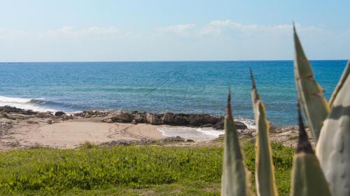 a view of a beach with the ocean at Appartamento Stella Maris in Marina di Mancaversa