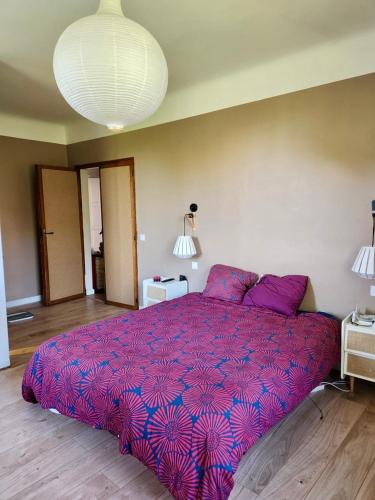 Photo de la galerie de l'établissement Grande maison avec jardin Bayonne, à Bayonne