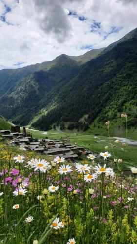 a field of flowers with mountains in the background at Lia Jamdeliani Guest House in Mazeri