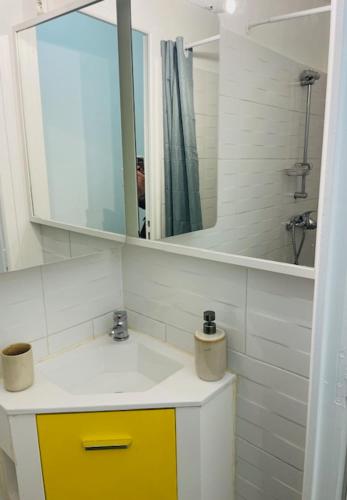 une salle de bain avec un lavabo et un miroir dans l'établissement T2 