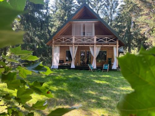 Raj w lesie - Paradise in the woods