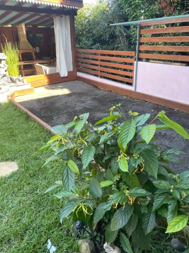 Un jardín fuera de Chez Dolores