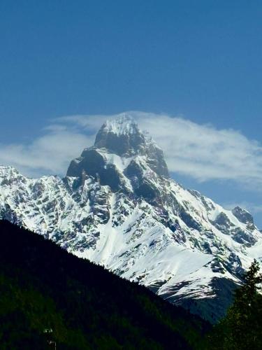a snow covered mountain with trees in front of it at Lia Jamdeliani Guest House in Mazeri