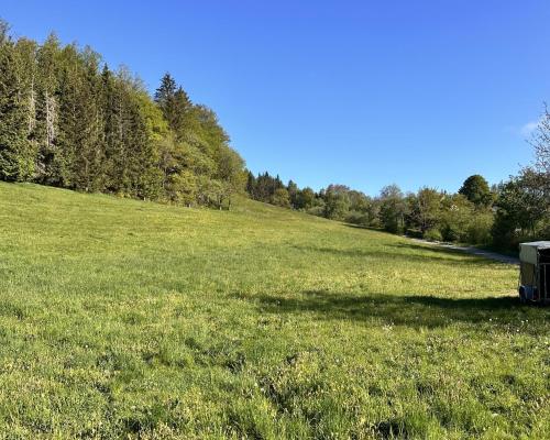 a field of grass with a truck in the middle at Smart Resorts B&B1 BB1 131 in Winterberg