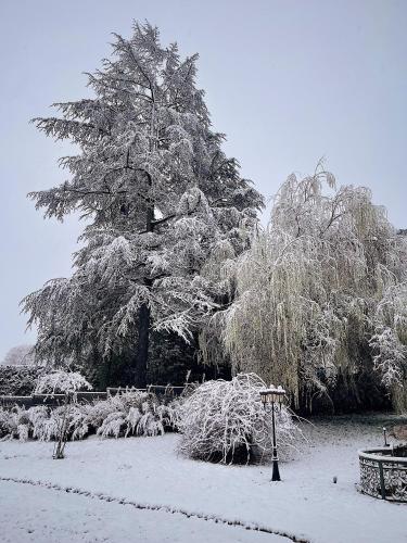 a tree covered in snow next to a bench at Château Philip in Saint-Genest-Lerpt