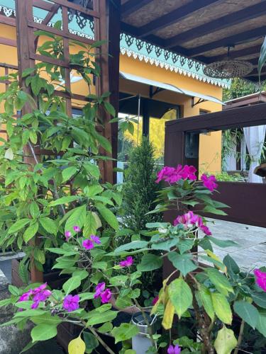 Un jardín fuera de Chez Dolores