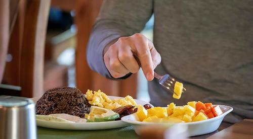 Mad i luksusteltet eller i nærheden