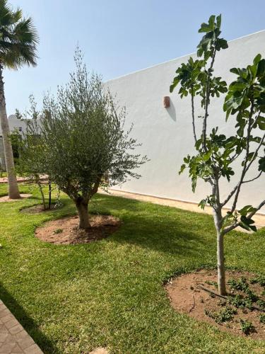Giardino di Villa Tremoulet Essaouira