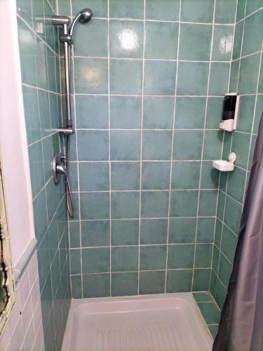 a green tiled bathroom with a shower with a toilet at Il Camaleonte dal 2005 in Bracciano
