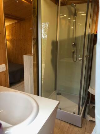 une salle de bain avec douche et lavabo dans l'établissement loue chalet calme tout équipé, à Madaillan