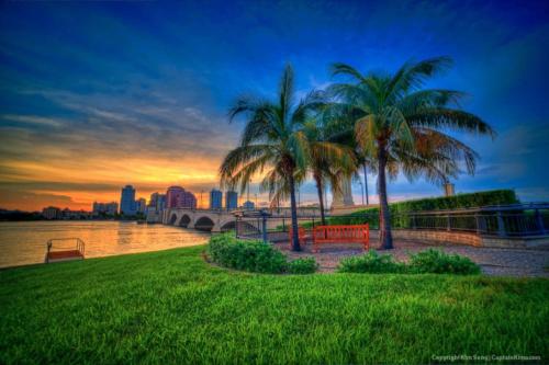 two palm trees and a bench next to a body of water at Beautiful home in West Palm - 5 min to Airport in West Palm Beach