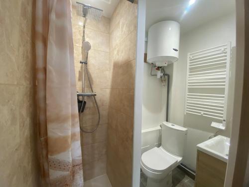 une salle de bain avec une douche, des toilettes et un lavabo dans l'établissement Studio cosy, à Besançon