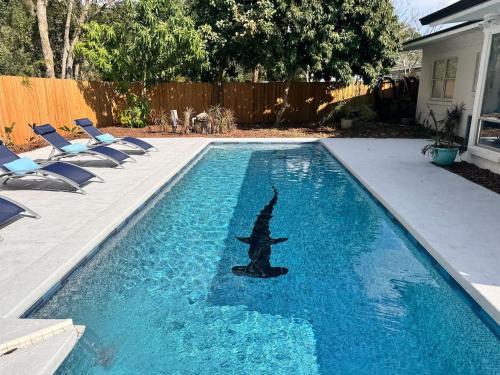 Kolam renang di atau dekat dengan Exquisite Luxury Villa with Pool in Prime Location