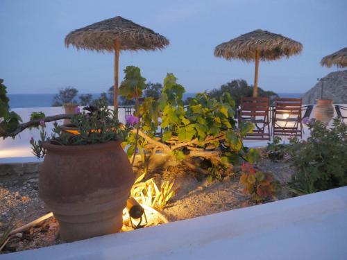 a large vase with plants and umbrellas on a beach at Ancient Thera Apartments in Kamari