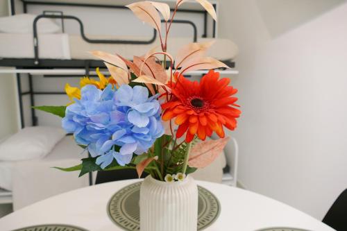 BVsireneHOUSE photo 2