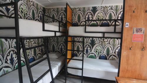 a group of bunk beds in a room at Hotel Montañita in Montañita