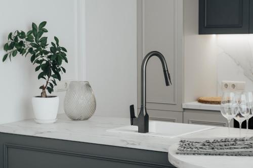 Una encimera de cocina con un fregadero y una planta en maceta. en Metekhi Elegance-Classic Charm in Tbilisi's Heart, en Tiflis