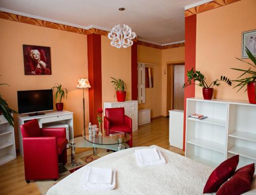 TV a/nebo společenská místnost v ubytování Hotel Bursztyn