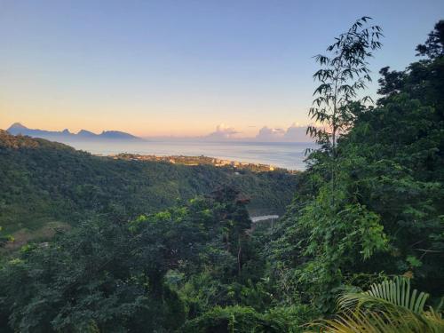 a view of the ocean from a mountain with trees at Fare Bungalow in Papeete