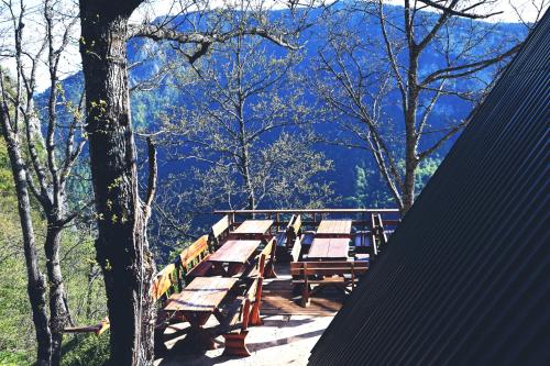 a row of picnic tables sitting on top of a forest at Kanjon 987 in Podgrad