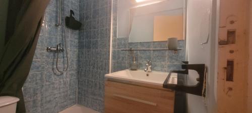 une salle de bain avec un lavabo et une douche avec un miroir dans l'établissement Studio plein centre, à Besançon