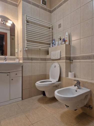 a bathroom with a toilet and a sink at Apartament z tarasem Zeta Park in Ustroń