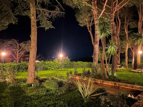 a park at night with trees and lights at Villa Lucilla - B&B Rooms and Pool in Potenza Picena