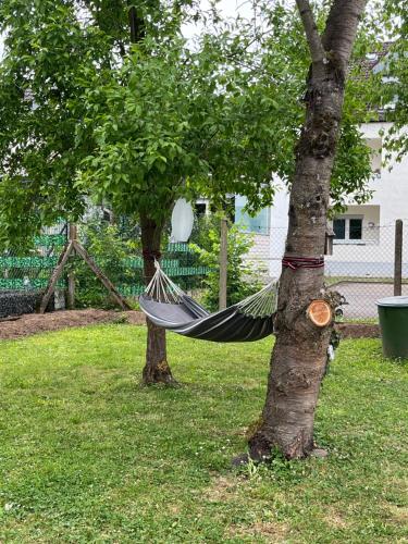 a hammock hanging from a tree in a yard at Ferienwohnung in Koblenz, nahe Uni und BWZK mit Garten in Koblenz