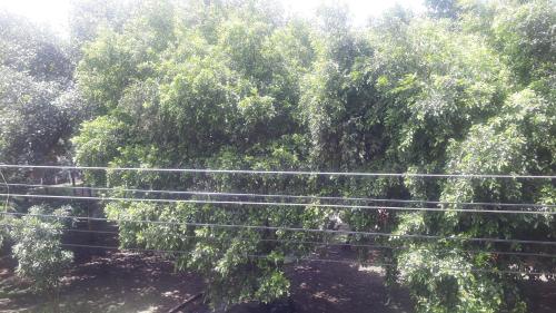 Aed väljaspool majutusasutust Habitacion en apartamento en los alcazares cali