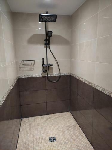une douche avec pommeau de douche dans une salle de bain dans l'établissement Magnifique hébergement en Rez de jardin, à Joigny-sur-Meuse