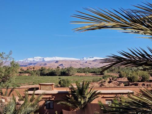a view of the desert and mountains from a palm tree at Maison d'hôtes Tigminou - Adults Only in Aït Ben Haddou