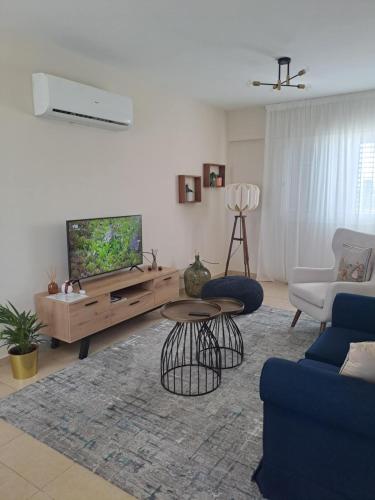 Televiisor ja/või meelelahutuskeskus majutusasutuses Blue Boutique Flat