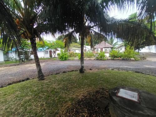 two palm trees in a yard with a house at Hôtel-bungalows La Pirogue in Sambava