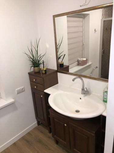 a bathroom with a sink and a large mirror at Wind Mood in Klebiškis