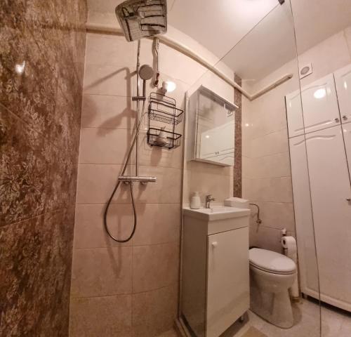 a bathroom with a shower with a toilet and a sink at Demjén ház in Nyíregyháza
