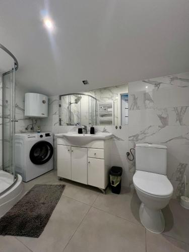 a bathroom with a toilet and a sink and a washing machine at Apartament ARKON in Hermanowa