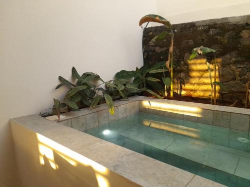 a swimming pool with a fountain and some plants at La Kaz Banian in Saint-Pierre