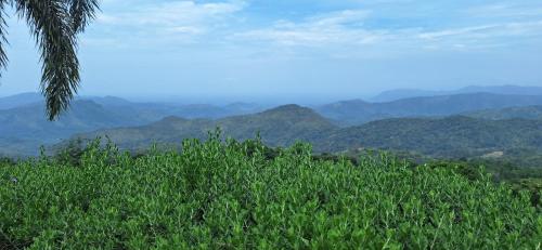 a view of a lush green hill with mountains in the background at Akway Resort Beragala Haputale in Beragala